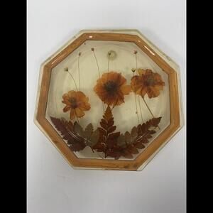 VTG 1970's Lucite/Resin Trivet Hot Pad Pressed Dried Flowers Frame 8” Octagon